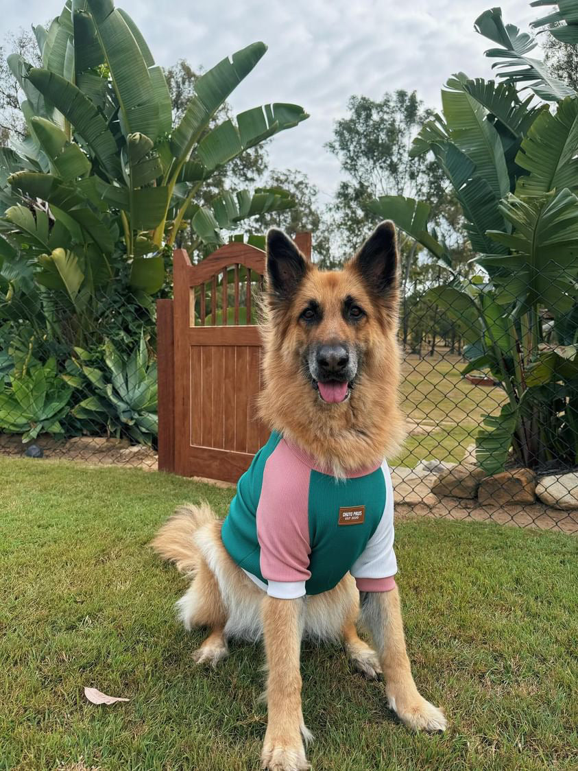 Seafoam Ribknit Sweats Pet Clothes - Dogs and Cats Jumper