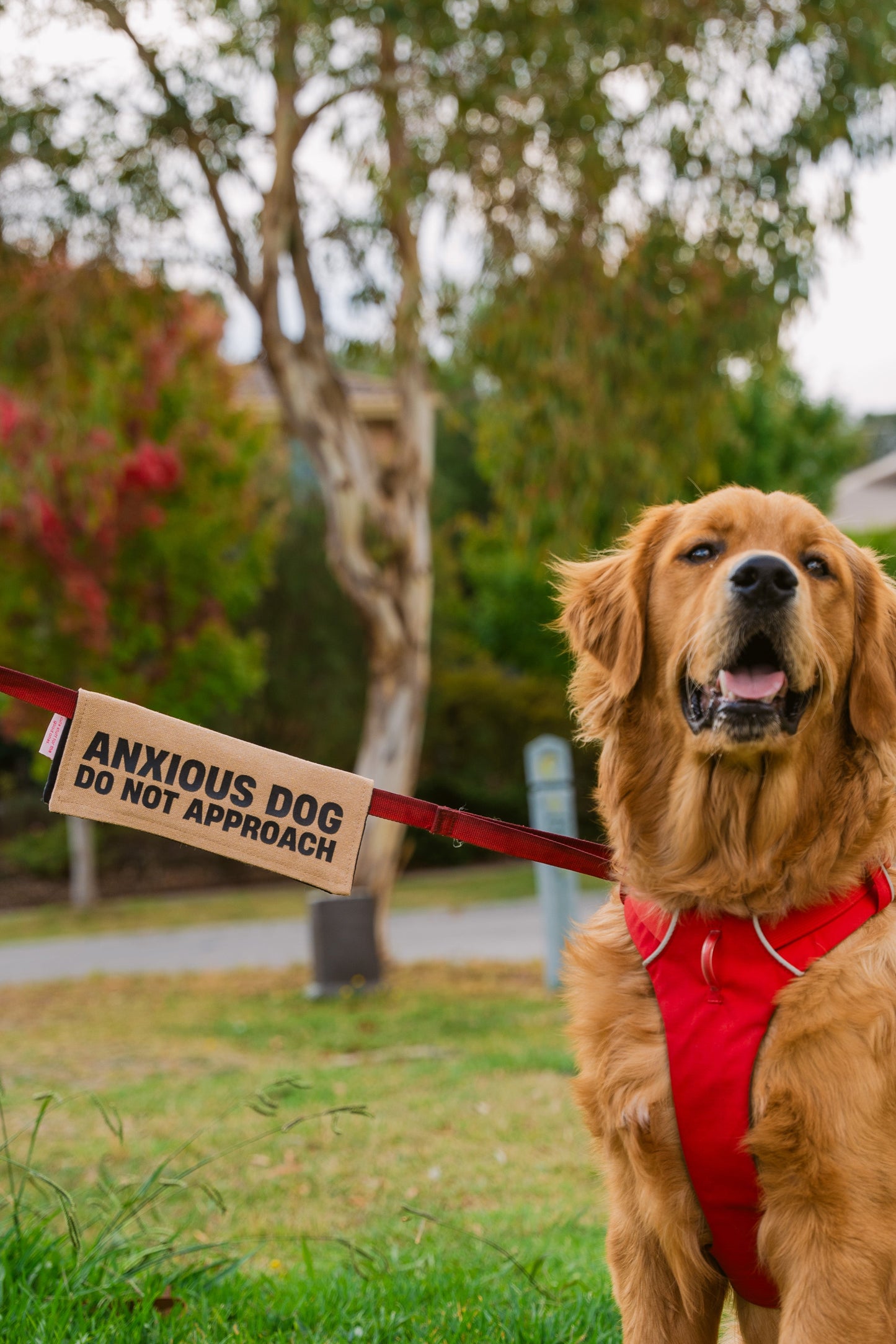 Anxious Dog Leash Wrap/Leash Sleeve