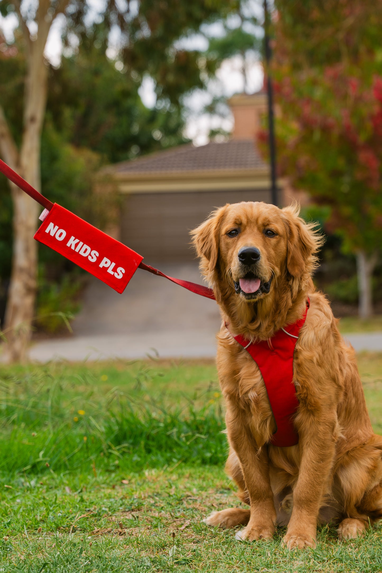 No Kids Pls Leash Wrap/Leash Sleeve