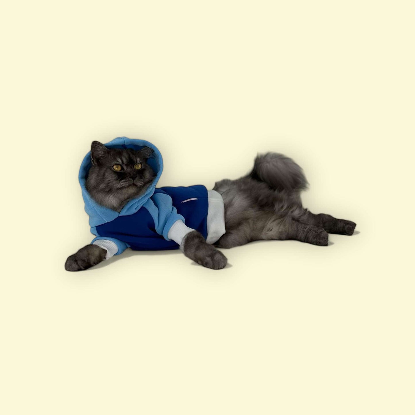 Blue Two Toned Pet Hoodie