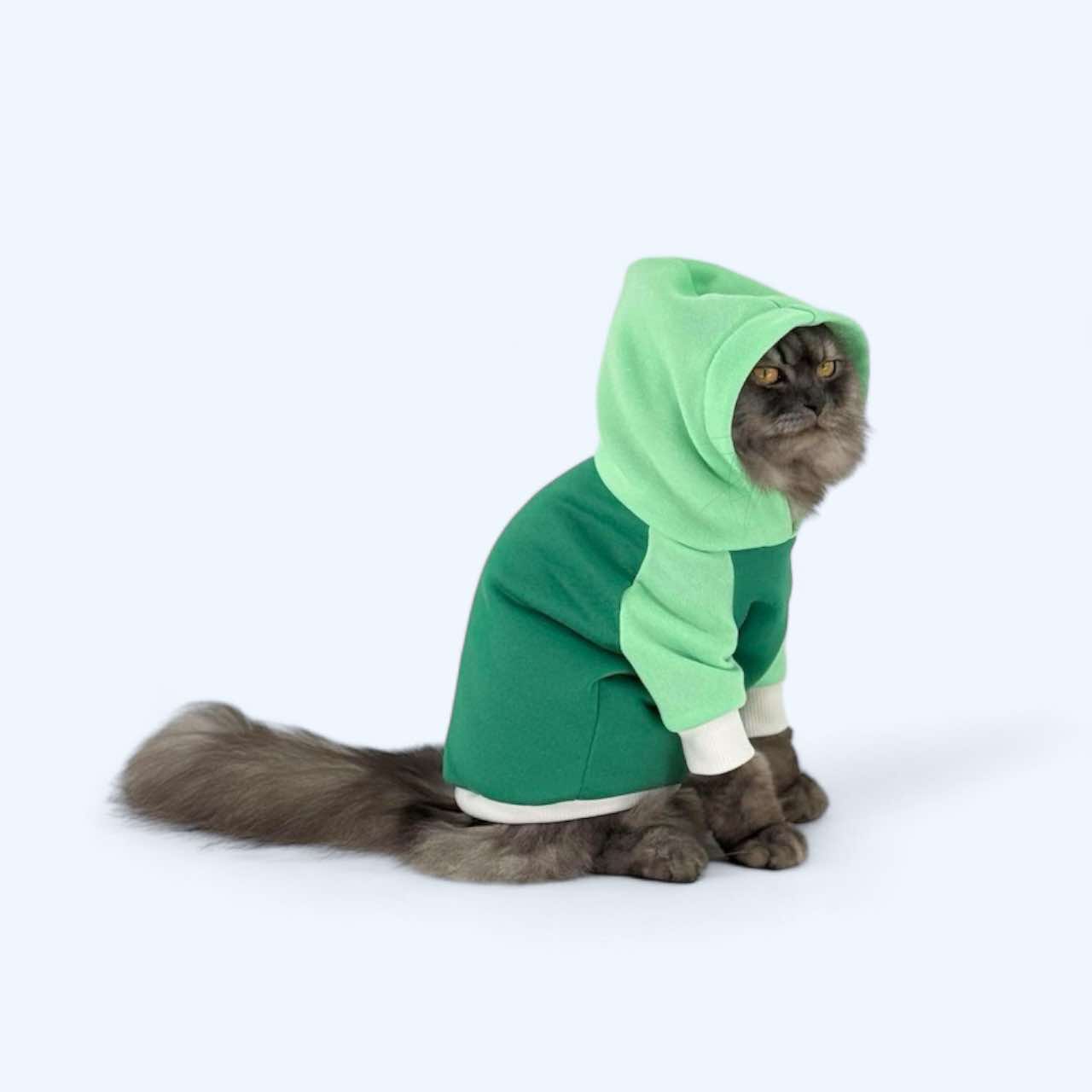 Green Two Toned Pet Hoodie