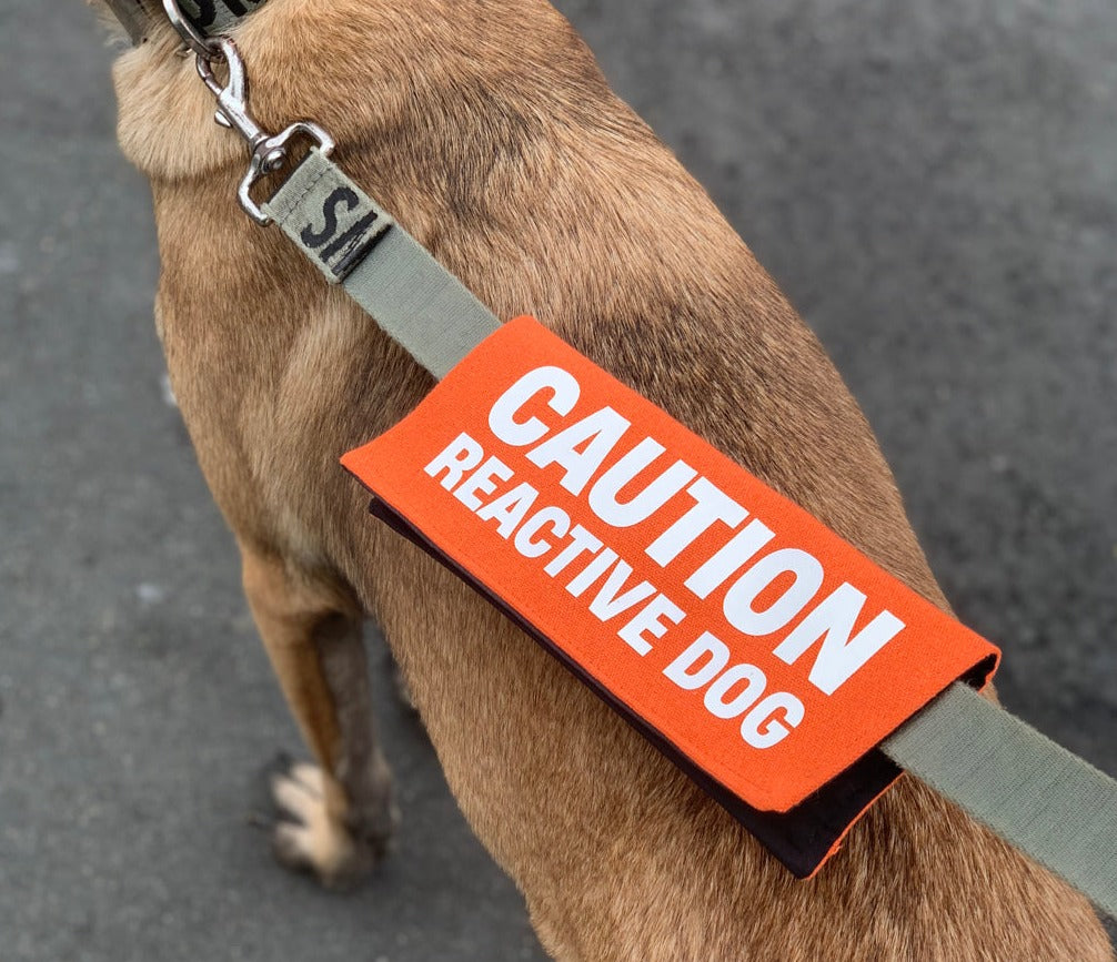 Caution: Reactive Dog Leash Wrap/Leash Sleeve