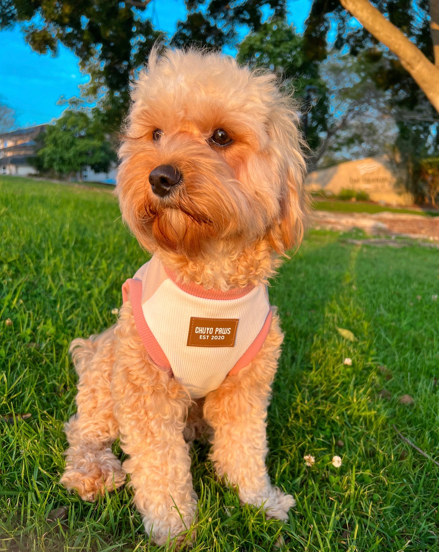 Beige Floof tees - Dogs and Cats Pet Clothes