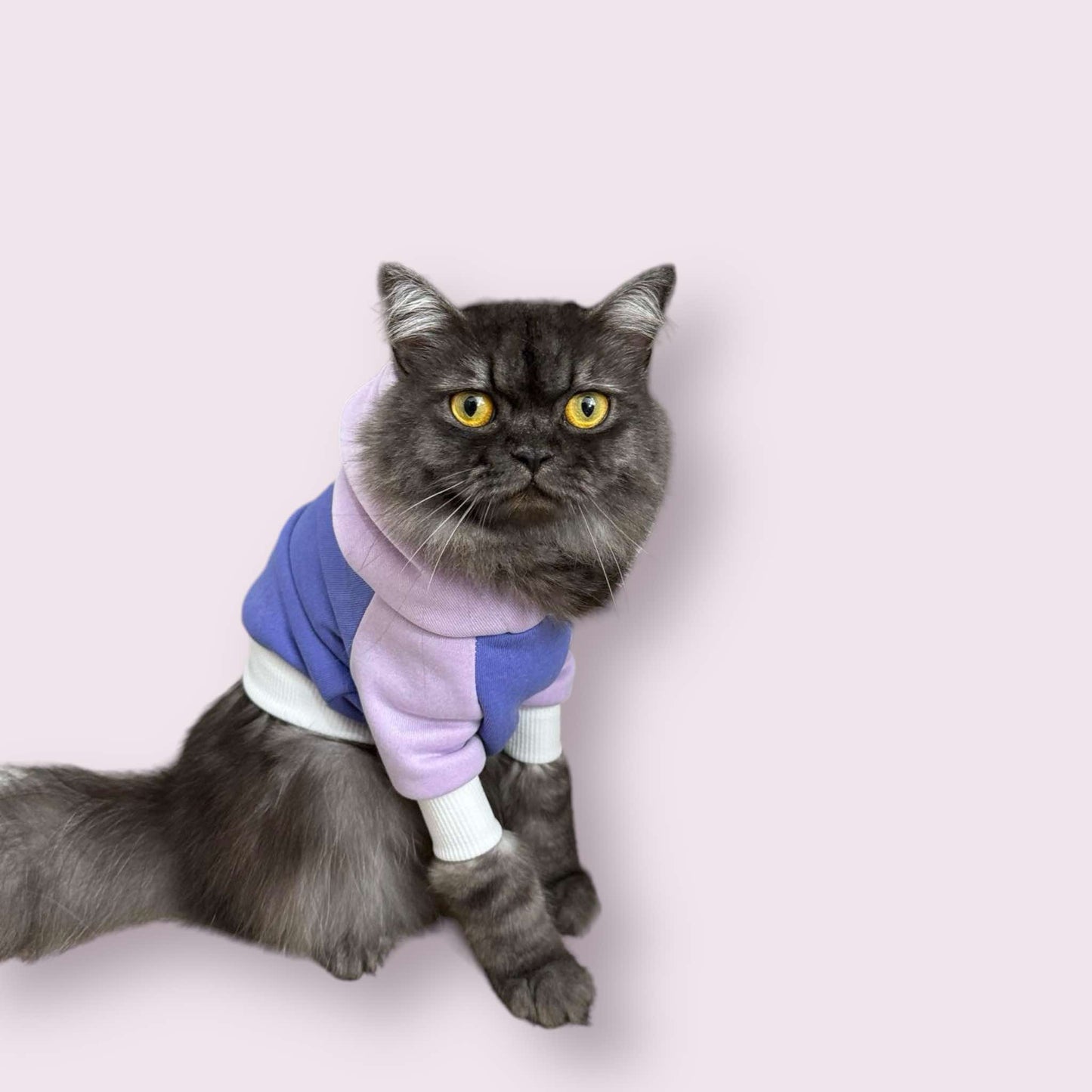 Purple Two Toned Pet Hoodie