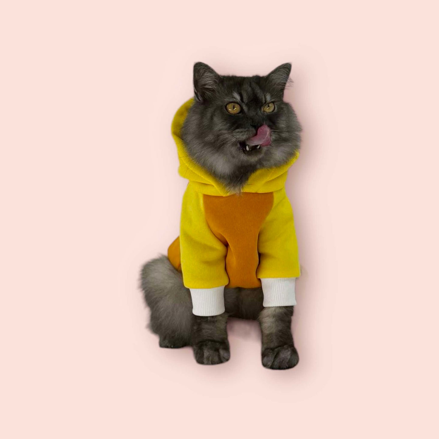 Yellow Two Toned Pet Hoodie