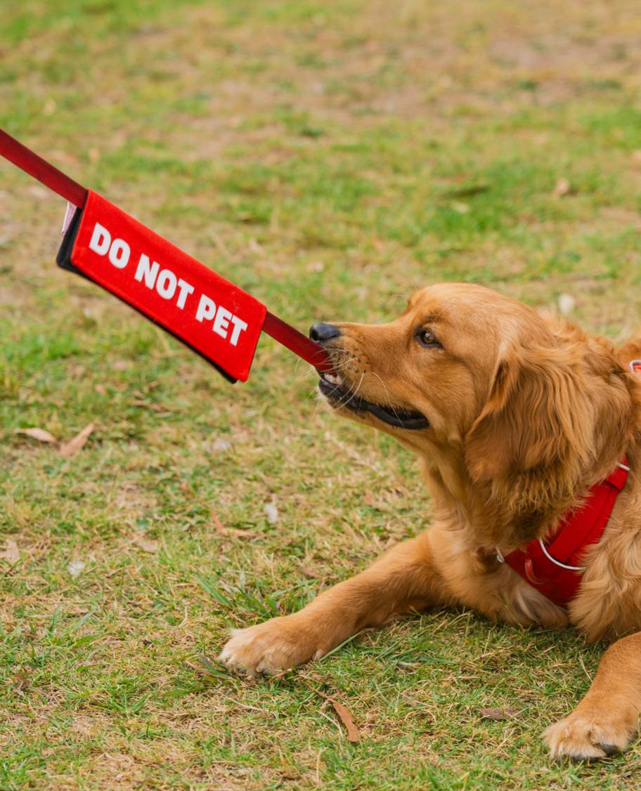 Do Not Pet Leash Wrap/Leash Sleeve
