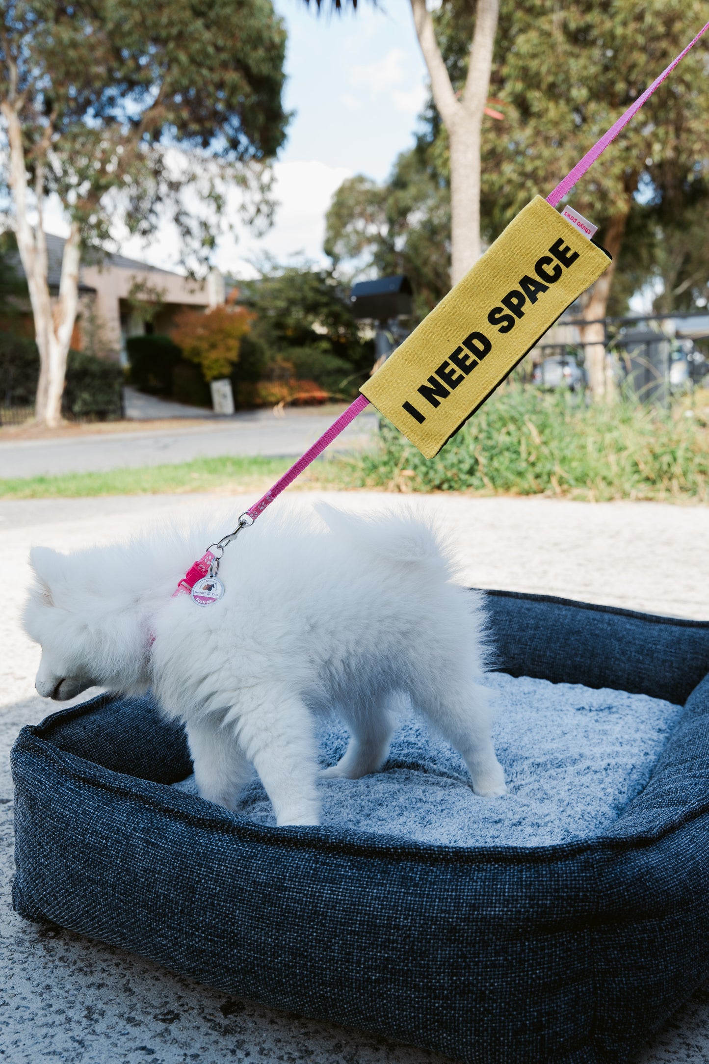 I Need Space Leash Wrap/Leash Sleeve